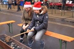 IMG_2268-scaled IMG_2268-scaled