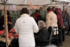 IMG_2271-scaled IMG_2271-scaled